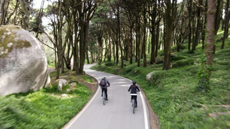 Lisbon: E-bike Trip from the Sintra Mountains to Cascais Sea - Who Will Love This Tour?