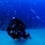 Lisbon Eco-Try Dive - Diving Baptism - Analyzing the Value: Price and Experience