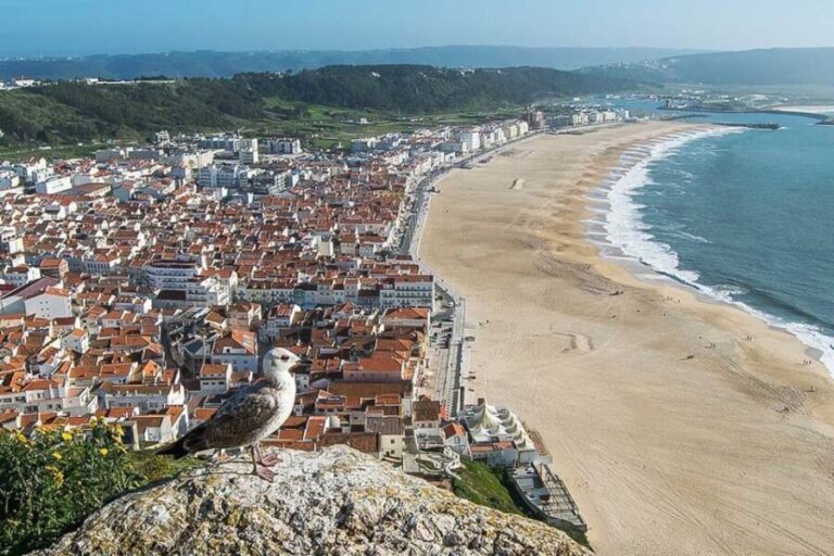 Lisbon: Fátima, Nazaré, and Óbidos Private Tour - What You Can Expect from the Tour