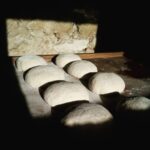 Lisbon Food & Culture Tour - The Tastings and Stops