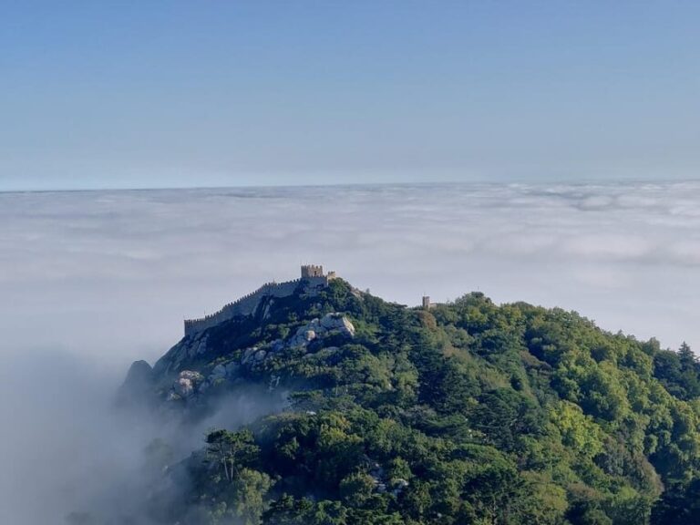 Lisbon: Half-Day Sintra Tour with Pena Palace and Regaleira - Practical Details That Make a Difference