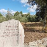 Lisbon: Holy Miracle Church Santarem & Fatima Private Tour - What Makes This Tour Stand Out?