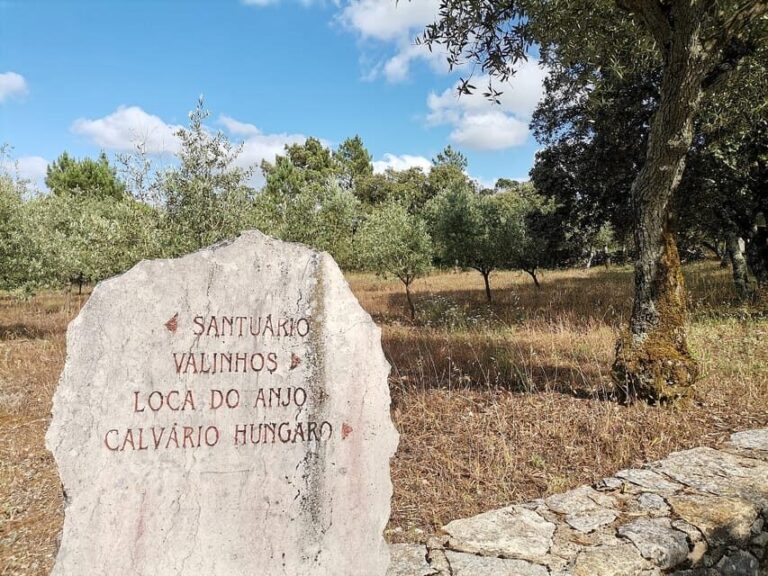 Lisbon: Holy Miracle Church Santarem & Fatima Private Tour - What Makes This Tour Stand Out?