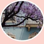 Lisbon Kaleidoscope : Electric Tuk Tuk | Professional Guide - The Experience: Pros and Cons