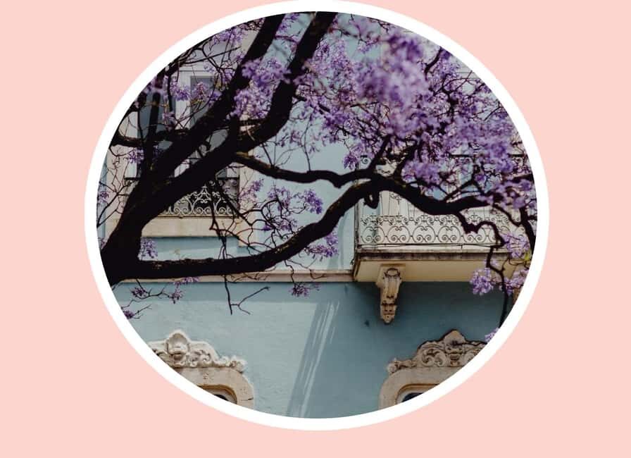 Lisbon Kaleidoscope : Electric Tuk Tuk | Professional Guide - The Experience: Pros and Cons