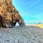 Lisbon Natural Coastal Adventure - The Experience: Pros and Cons