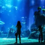 Lisbon: Oceanário de Lisboa Entrance Ticket - The Value of Your Ticket: Is It Worth $28?