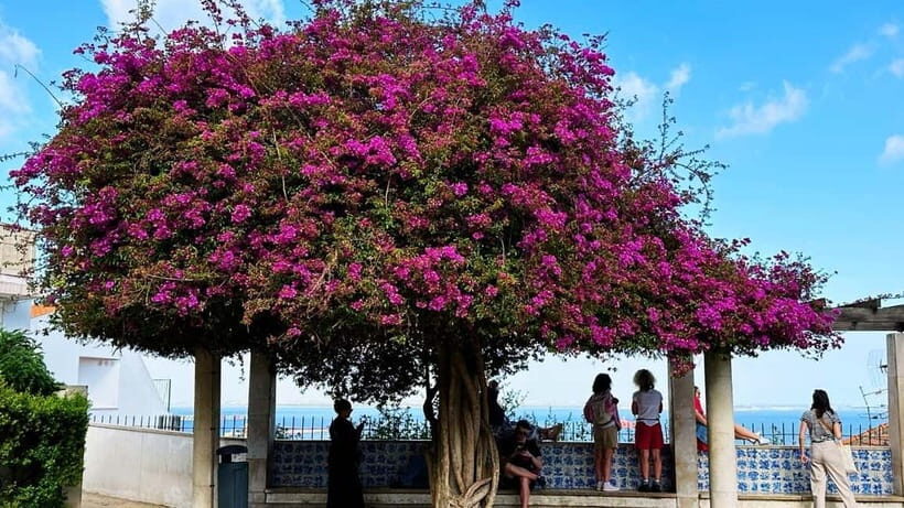 Lisbon: Old Town Tuk-Tuk Tour - Who Is This Tour Best For?