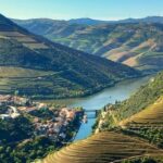 Lisbon: One Way to Douro Valley through Coimbra and Obidos - The Details: Transport, Timing, and Value