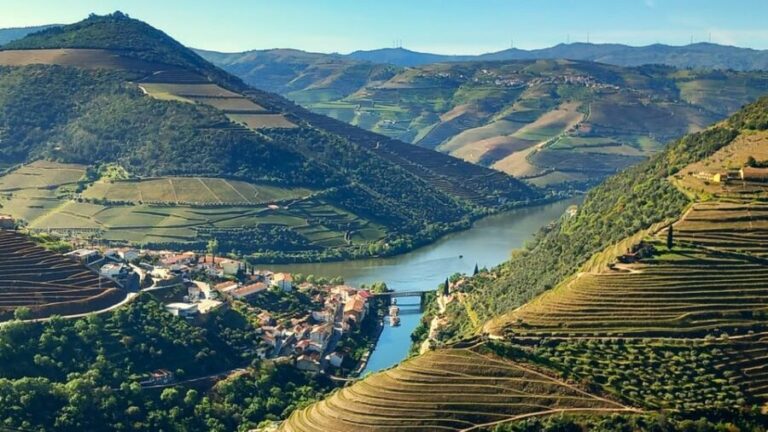 Lisbon: One Way to Douro Valley through Coimbra and Obidos - The Details: Transport, Timing, and Value