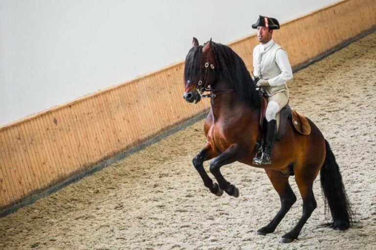 Lisbon: Portuguese Riding School Trainig with Lusitano Horse - The Significance of the Lusitano Horse