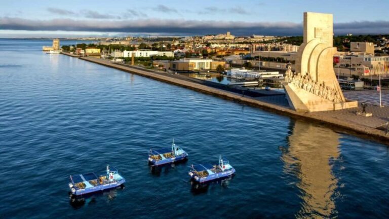 Lisbon: Private Luxury Tour to Belém, Cristo Rei and Alfama. - What to Expect from the Experience