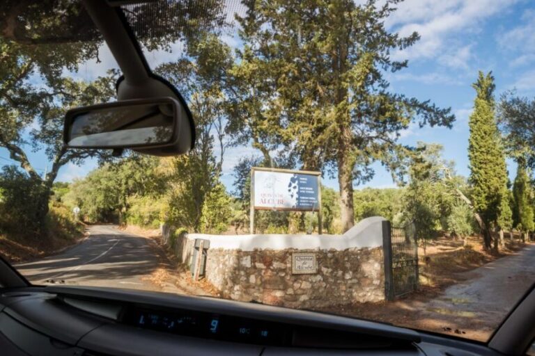 Lisbon Private Setúbal Region Wine Tasting Tour - The Cost and Value