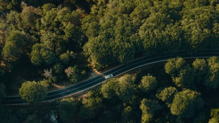 Lisbon: Setúbal, Arrábida, and Sesimbra tour with wine and boat - Who Will Love This Tour?