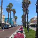 Lisbon: Sintra, Pena, Regaleira, Roca and panoramic of Cascais - The Group Experience and Overall Value