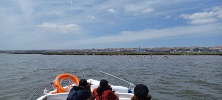 Lisbon: Tagus Estuary Nature Reserve Birdwatching Boat Tour - Final Thoughts