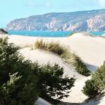 Lisbon: Tailored Tour - What to Expect During the Day