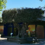 Lisbon to Wine Tasting Setubal, Two Cellars, Half Day Tour - A Closer Look at the Tour Itinerary