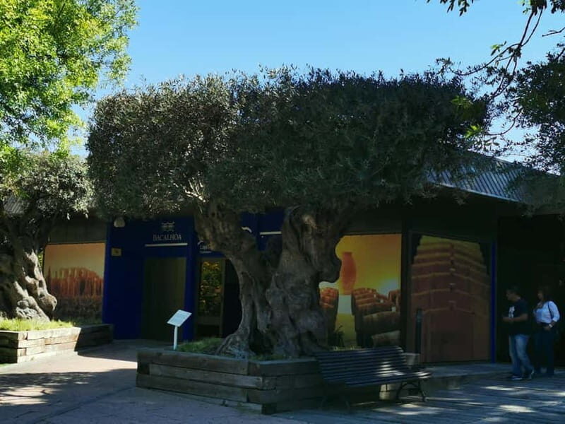 Lisbon to Wine Tasting Setubal, Two Cellars, Half Day Tour - A Closer Look at the Tour Itinerary