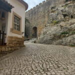 Lisbon: Transfer to Porto with Obidos and Nazare - What Makes This Tour Stand Out?