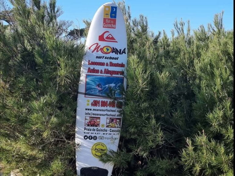 Lisbon viewpoints, archaeological Roman amphitheater & Belém - Transportation & Comfort