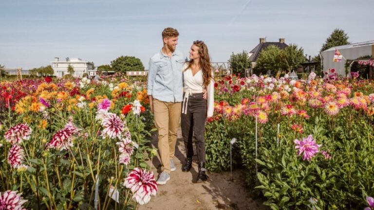 Lisse: Drive-it-Yourself Summer Flower GPS Audio Tour - The Value and Practicalities