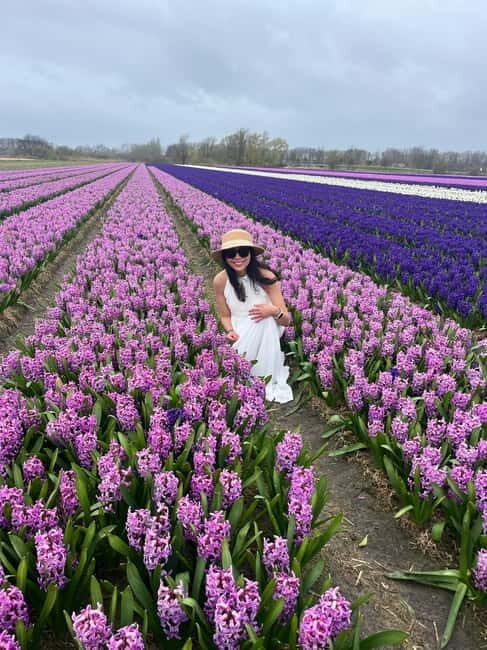 Lisse: Private Tulip Fields Tour with a Local Guide 1h Tour - The Itinerary in Detail