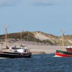 List/Sylt: Guided Seal-Watching Cruise on a Rustic Boat - The Itinerary: What Makes Each Part Special