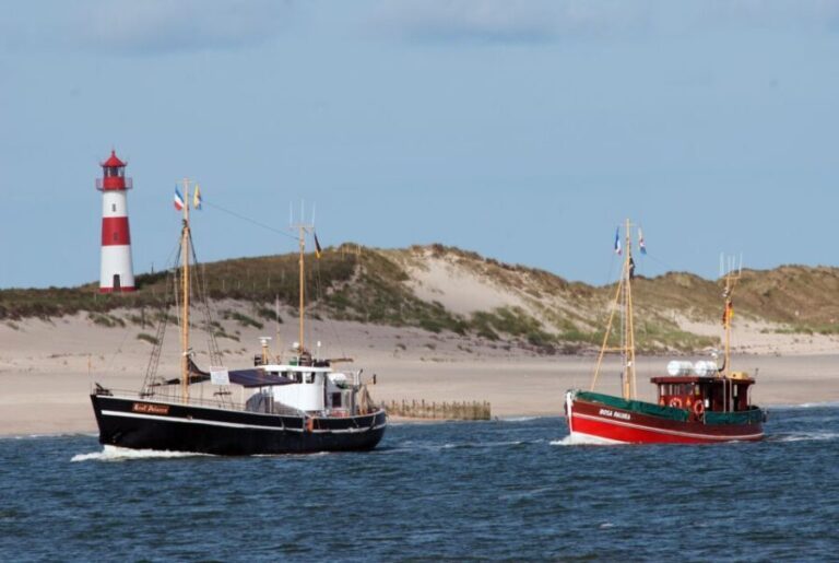 List/Sylt: Guided Seal-Watching Cruise on a Rustic Boat - The Itinerary: What Makes Each Part Special