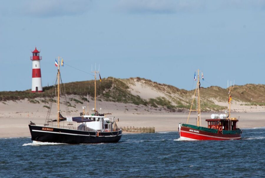 List/Sylt: Guided Seal-Watching Cruise on a Rustic Boat - The Itinerary: What Makes Each Part Special