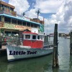 Little Toot Dolphin Adventure at Clearwater Beach - Pricing and Value