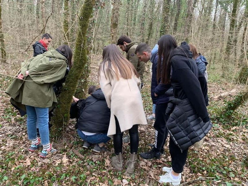 Livade: Guided Truffle Hunting Walking Tour - What’s Included and What to Consider