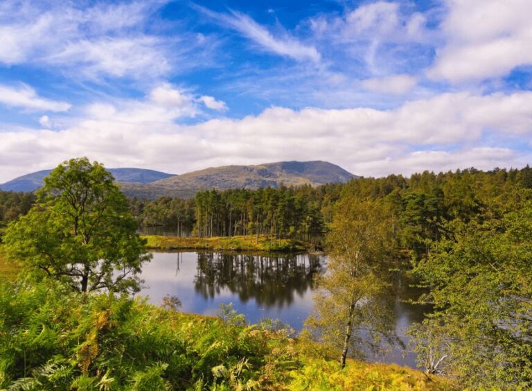 Liverpool: Lake District Tour with Lake Cruise - The Experience Through the Lens of Past Travelers