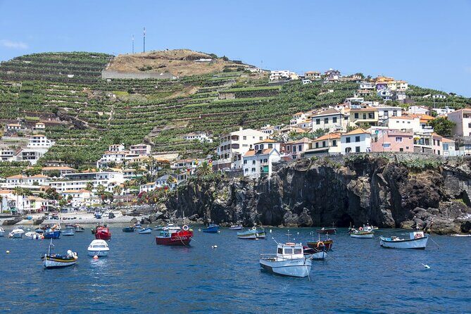 Living Sea Boat Trip in Madeira from Funchal - Who Will Love This Experience?
