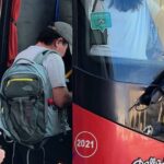 Livorno: 1 Day Hop-on Hop-off Bus Ticket Experience - What the Reviews Say