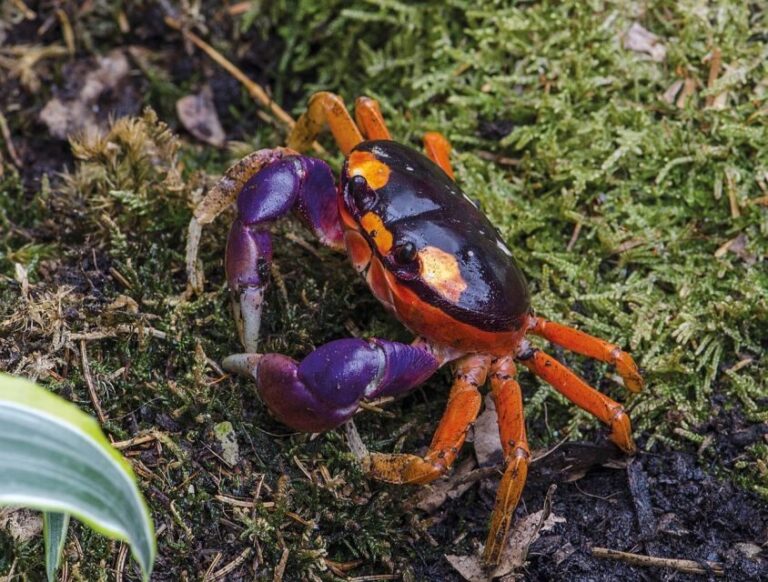 Livorno: Aquarium Entrance Ticket - The Marine Exhibits