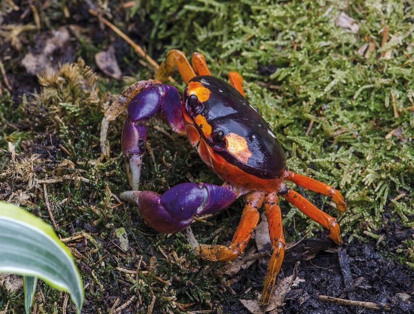 Livorno: Aquarium Entrance Ticket - The Marine Exhibits