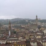 Livorno to Florence and Pisa Day Trip with Cruise Port Pickup - The Realities: Pros and Cons Based on Reviews