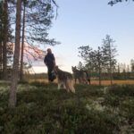 Ljørdalen - Trysil: Husky Hike with Campfire and lunch! - What the Tour Includes and What It Doesn’t