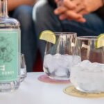 Ljubljana: Gin Tasting Boat Tour on the Ljubljanica River - Who Will Love This Tour?