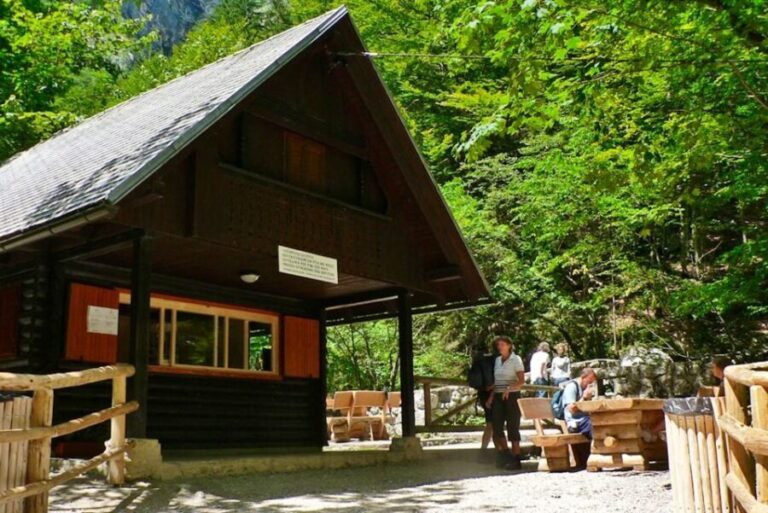 Ljubljana: Savica Waterfall, Lake Bohinj, and Lake Bled Tour - A Full Breakdown of the Tour Experience