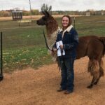 Llama Encounter - The Llamas and Their Social Side