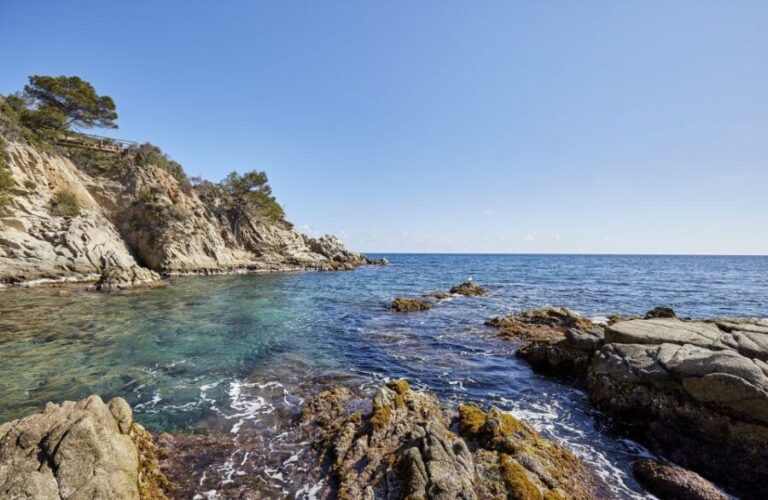 Lloret de Mar: Costa Brava Kayak Tour and Swimming - The Route and Stops in Detail