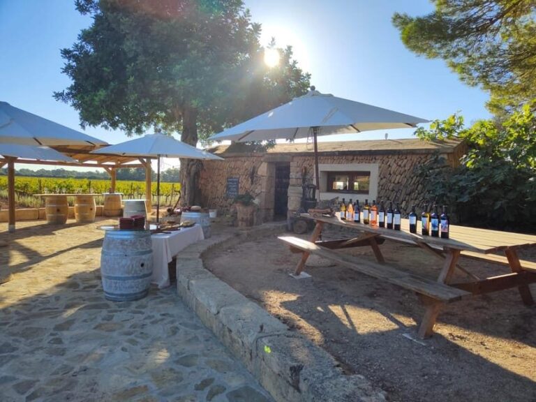 Llucmajor: Bodegas Bordoy Wine Tour - Frequently Asked Questions