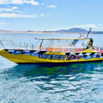 Lobos,Dunes,Popcorn Beach: small 8 persons group with guide! - Transport and Logistics