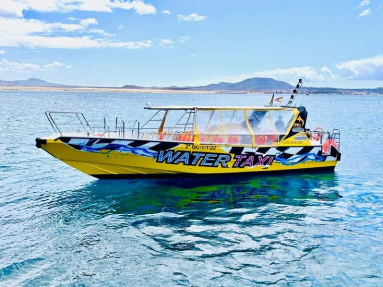 Lobos,Dunes,Popcorn Beach: small 8 persons group with guide! - Transport and Logistics