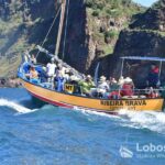 Lobosonda Ribeira Brava whale watching tour - The Itinerary Breakdown