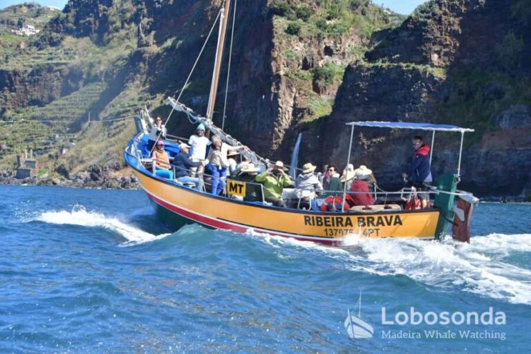 Lobosonda Ribeira Brava whale watching tour - The Itinerary Breakdown
