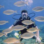 Local Guided Dives (for certified/licensed divers) - Exploring the Dive Sites