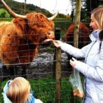 Loch Ness, Glencoe and the Highlands Private Day Tour - Why Travelers Love This Tour